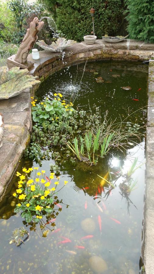 Le Jardin Des Secrets Bed & Breakfast La Voivre  Ngoại thất bức ảnh